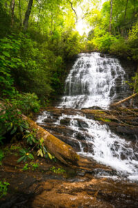 Autumn Along the Trail: A Fall Adventure Through South Carolina’s Wild Places 