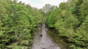 Go Paddle SC: Explore South Carolina’s Waterways One Paddle at a Time